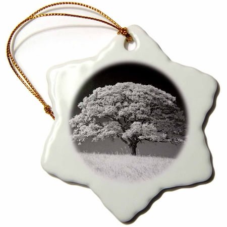 3dRose Large Oak Tree and Grass in B and W - Snowflake Ornament,
