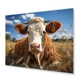 thumbnail image 2 of Designart "Majestic Cattle I" Animals Metal Art Living Room, 2 of 5