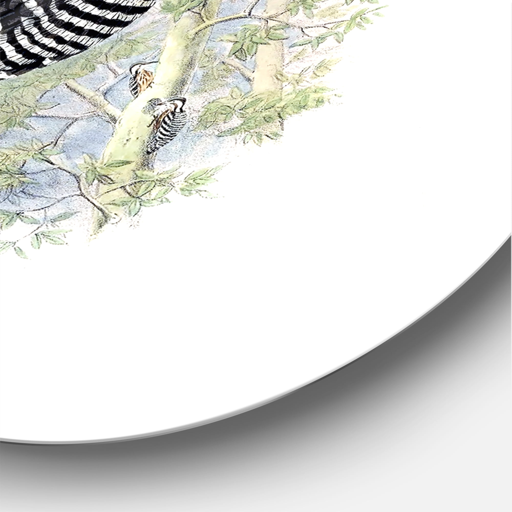 Designart 'Ancient Birds In The Wild V' Traditional Circle Metal Wall Art 23x23 - Disc of 23