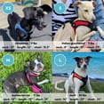 thumbnail image 4 of Arnés para perros Gooby Escape Free Easy Fit, morado, para perros pequeños, 4 of 5