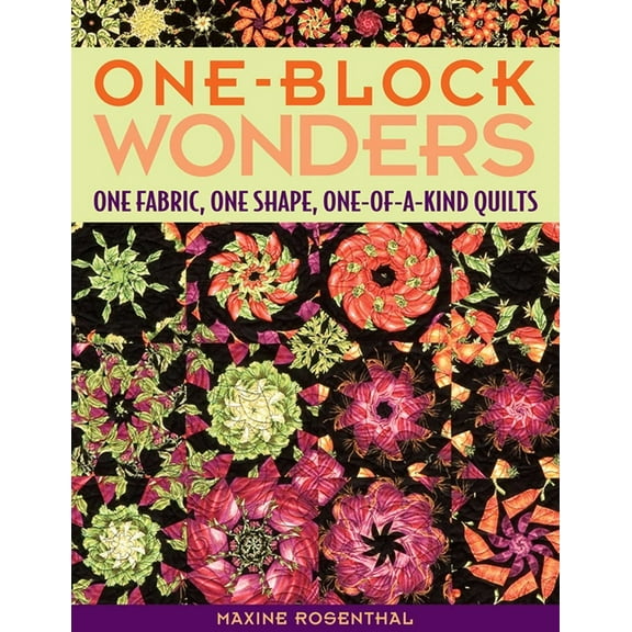 One-Block Wonders : One Fabric, One Shape, One-of-a-Kind Quilts (Paperback)