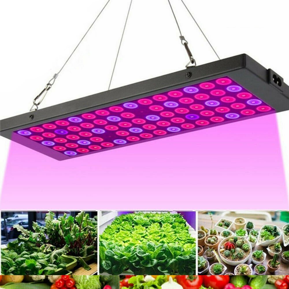 Indoor LED Grow Light Full Spectrum Panel For Tent Greenhouse