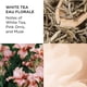 thumbnail image 3 of Perfume Elizabeth Arden White Tea Eau de Toilette 100 mL para mujer, 3 of 6