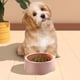 thumbnail image 5 of Comedero de comida lenta para mascotas, a prueba de derrames, para perros pequeños, cachorros y antideslizantes, medianos y grandes., 5 of 6