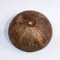 thumbnail image 3 of Cocobowl Splash cuenco decorativo de coco azul, pulido, 3 of 5