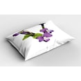 thumbnail image 2 of Ambesonne Letter V Pillow Sham 2 Pack, Viola Sororia Flower, 30"x20", Violet Black and Green, 2 of 3