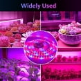 thumbnail image 3 of Tira de luces LED para cultivo de plantas, lámpara Phyto de espectro completo, para invernadero, crecimiento hidropónico, 5M, 12V, 5050 chips, 3 of 3