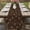Brown, variant on Table Runner 108 Inches Long for Kitchen Dining, Brown Floral Dresser Scarf Farmhouse, Dining Table Decorations for Wedding/Parties, Vintage Spring Botanical Flowers 13 x 108 In