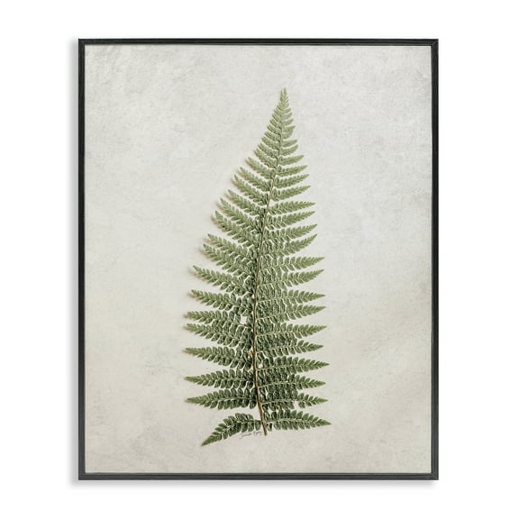 Stupell Industries Detailed Fern Frond Botanical & Floral Painting Black Framed Art Print Wall Art, 11 x 14