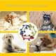 thumbnail image 4 of Juguetes interactivos para masticar mascotas, animales de peluche con forma de caimán, juguete con sonido para perros, suministros de entrenamiento para rechinar los dientes., 4 of 6