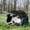 Black, variant on Outsunny Camping Tent with Porch and Carry Bag, 3000mm Waterproof, Black