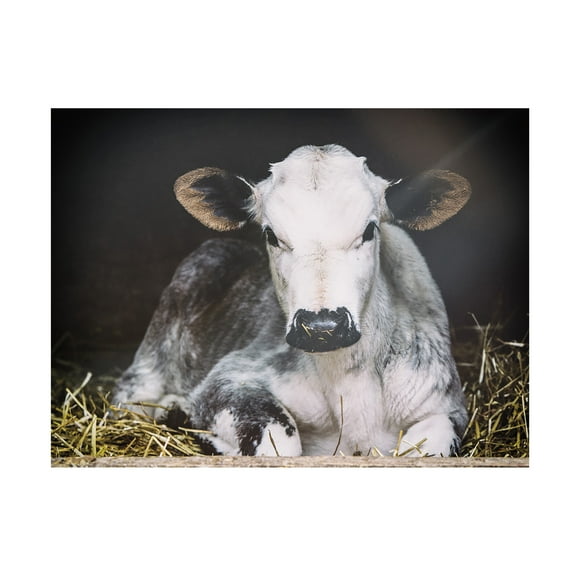 Trademark Fine Art 'Busy Day' Canvas Art by Aledanda