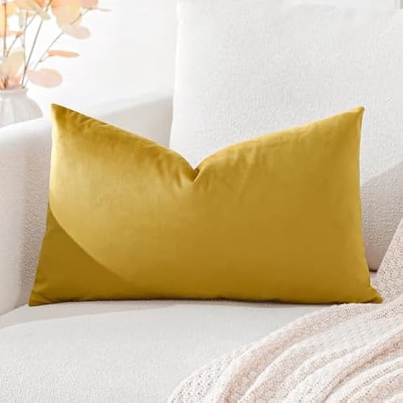 Eryueer Luxury Velvet Cushion Covers Super Soft Decorative Throw Pillow Covers Case Lumbar Cushion Cases for Sofa Couch Bedroom Car Decor 30x50cm Gold