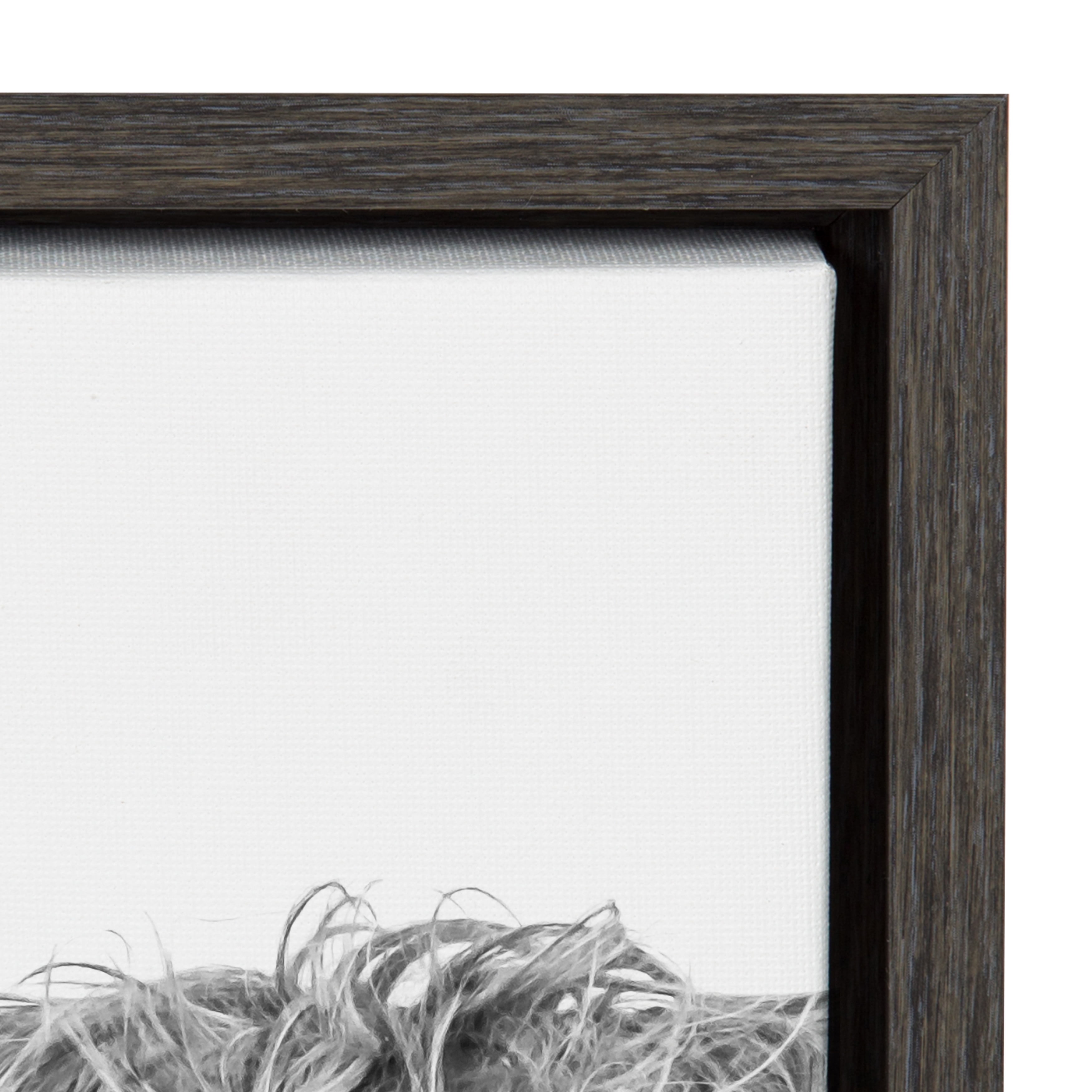 Kate and Laurel Sylvie Highland Cow Black and White Portrait Dark Gray Framed Canvas by Amy Peterson, 18x24 Gray, Adorable Wall Decor for Living Room, Nursery