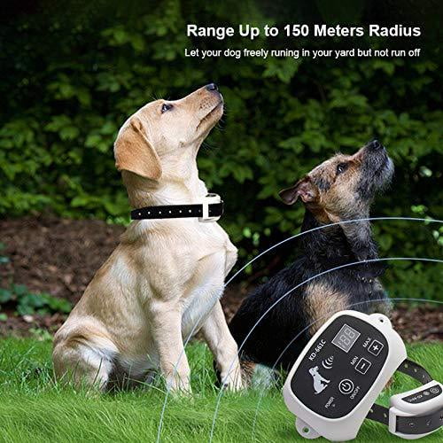 pet safe radius collar