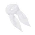 thumbnail image 2 of Premier Womens Chiffon Scarf, 2 of 3