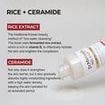 thumbnail image 3 of Tónico Dr.Melaxin Peel Shot Glow Rice 200 ml Hidratante, 3 of 8