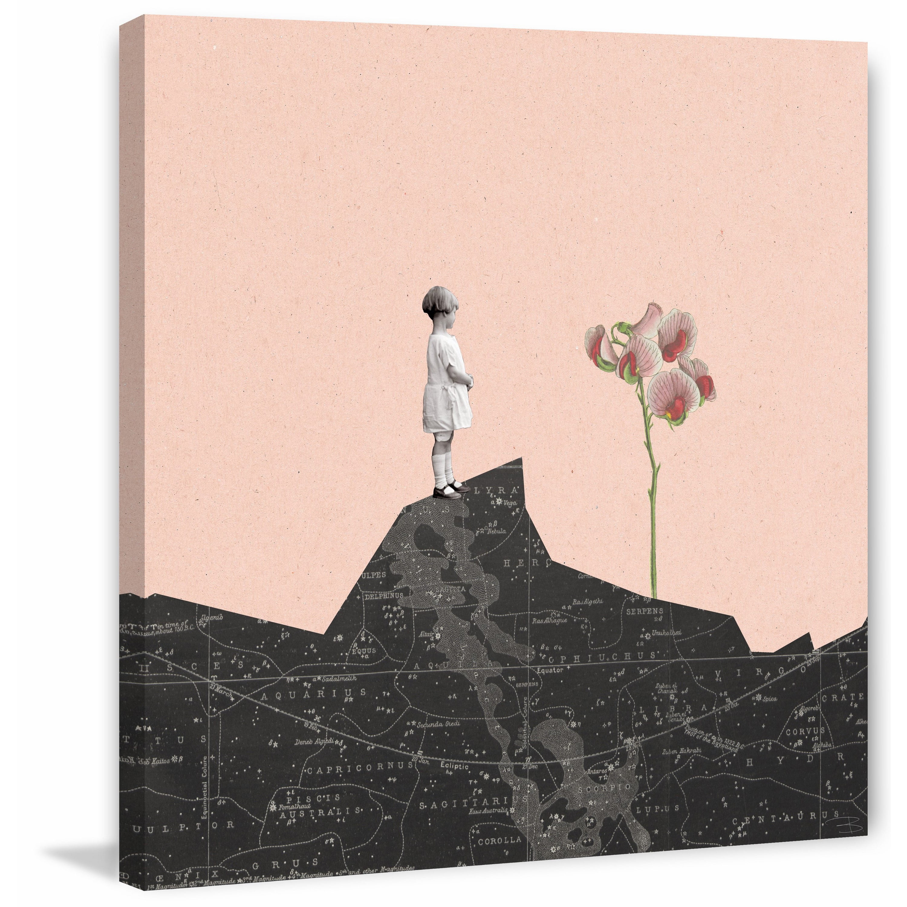"Nina Mira Flor Rosa" Painting Print on Wrapped Canvas