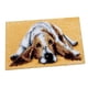 thumbnail image 4 of Alfombra anudada, alfombra anudada, conjunto anudado, decoración con herramientas para niños y Perro, 4 of 9