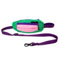 thumbnail image 3 of Premium Dog Leash Adjustable Length Handle Bungee Leash with Pouch For Walking Hiking Jogging Biking Running, 3 of 9