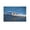 Unframe-style, variant on Cute Bird Animal-j Painting On Canvas Wall Art Poster Scroll Picture Print Living Room Walls Decor Home Posters 08x12inch(20x30cm)