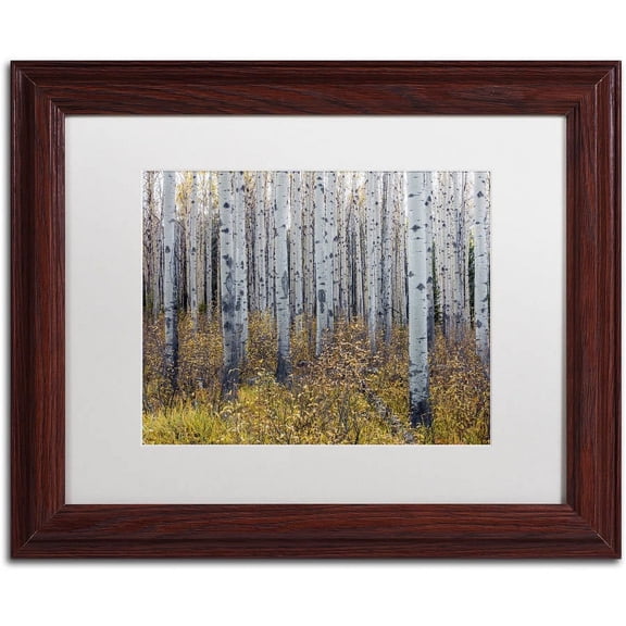 Trademark Fine Art 'Aspen Trees in Autumn' Canvas Art by Pierre Leclerc, White Matte, Wood Frame