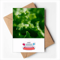 thumbnail image 1 of Tender Nature Photography Happy Birthday Greeting Cards Envelopes Blank, 1 of 3