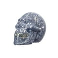 thumbnail image 1 of Interior Illusion Plus ii00028 8 Po Longue Banque de Crâne de Strass&44; Chrome & Argent, 1 of 1