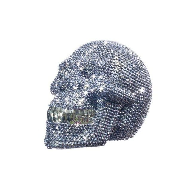 Interior Illusion Plus ii00028 8 Po Longue Banque de Crâne de Strass&44; Chrome & Argent