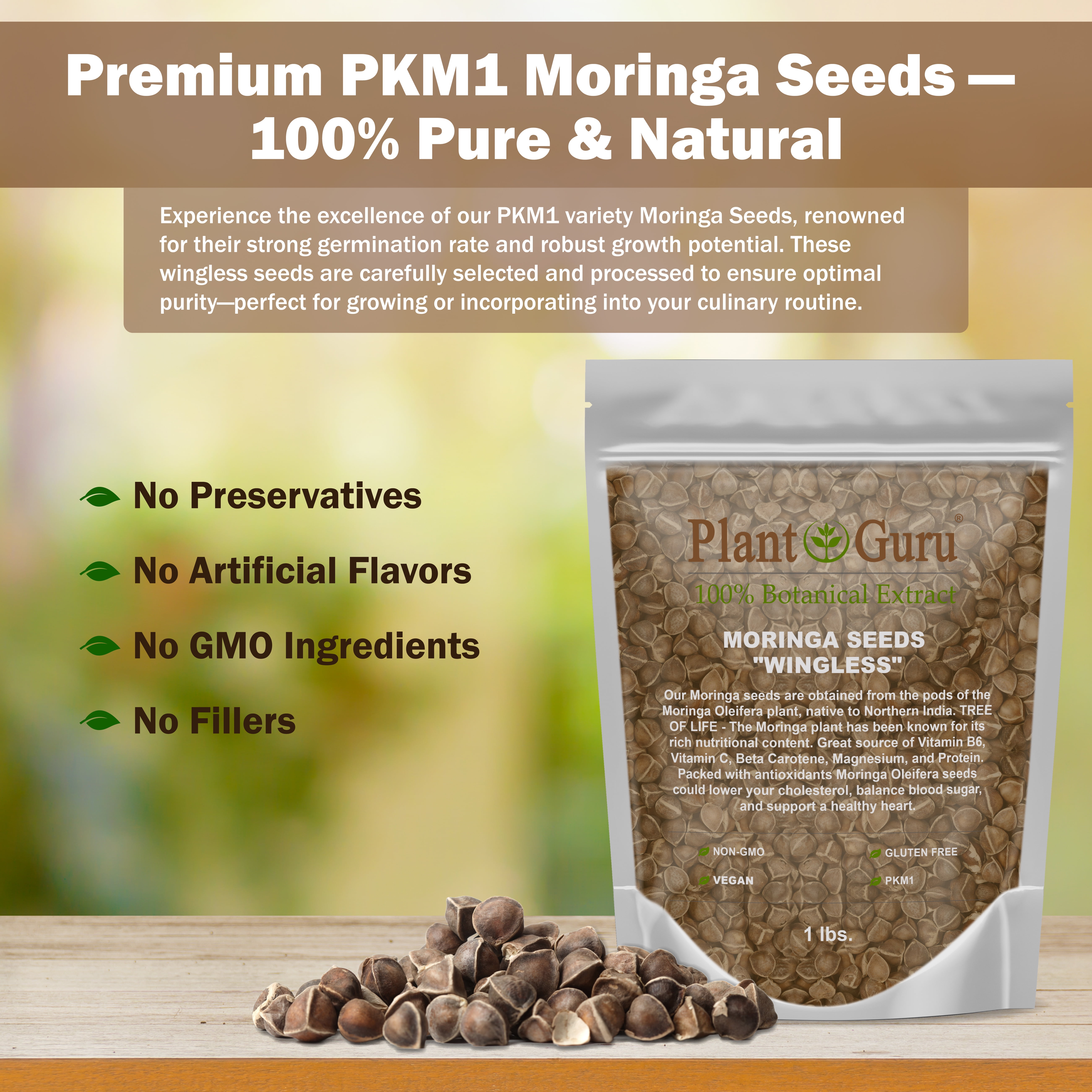 Moringa Seeds Wingless 5 lbs. Bulk - PKM1 Variety - Edible Snacking - Planting - Moringa Oleifera - Malunggay - Semillas De Moringa - Drumstick Tree - Non-GMO - 8,000 to 10,000 Seeds