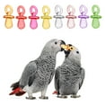 thumbnail image 3 of Raindrops Bird Parrot Chewin Toy Plastic Pet Owners Cage Enrichment 50Pcs 1.2x0.4in, 3 of 8