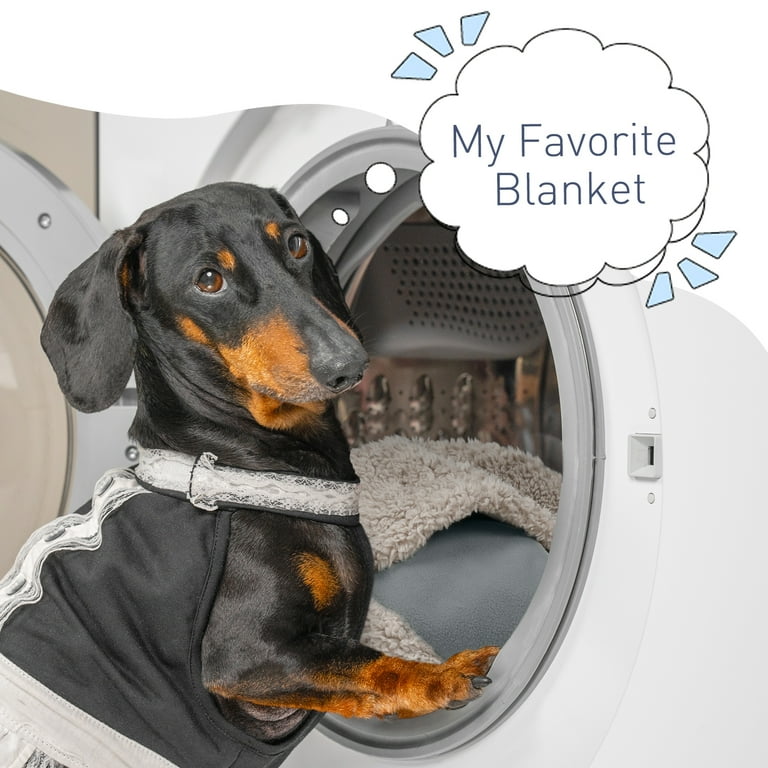 Dog top scent blanket