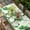 Green White, variant on St. Patrick's Day Table Cloths for 3 Foot Rectangle Tables, Green Shamrock Gnomes Watering Can Plants Patio Waterproof Elastic Fitted Tablecloths, Washable Rectangular Table Cover for Camping