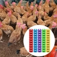 thumbnail image 1 of Bandas de piernas de aves de corral 100x, bandas de identificación de pollo, etiqueta de marcador de pollo, anillos de la etiqueta de la etiqueta del S, 1 of 10