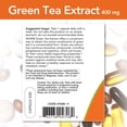 thumbnail image 3 of Suplemento NOW de extracto de té verde de 400 mg con vitamina C, 250 cápsulas, 3 of 8