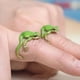 thumbnail image 5 of Anillo ajustable de la rana del árbol, diseño abierto de cobre amarillo con el esmalte colorido, joyería linda del animal para los adolescentes, adultos, ideales para el accesorio del partido, de moda, 5 of 8