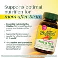 thumbnail image 4 of MegaFood Baby & Me 2 Postnatal Multi - Folate, Choline, Iodine, Vitamin D3 - 60 Servings, 4 of 9