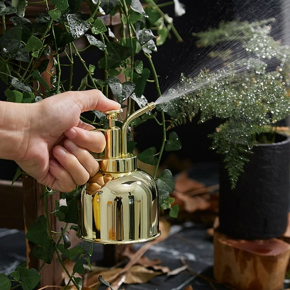 Regadera de acero inoxidable para plantas de interior | Botella pulverizadora de 300 ml para suculentas, bonsáis y plantas de interior | Rociador suave con mango ergonómico | Negro o dorado rosa
