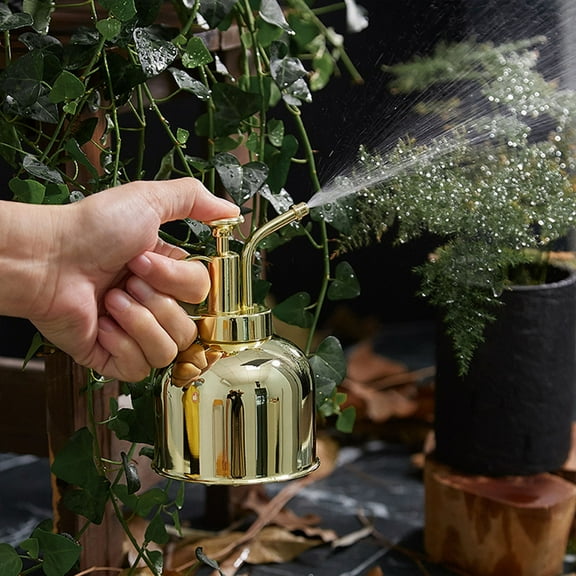 Watering Can Stainless Steel Watering Can - Metal Watering Can With Long Spout To Spillage, Perfect Plant Watering Can For Outdoor And Indoor Plants-Gold