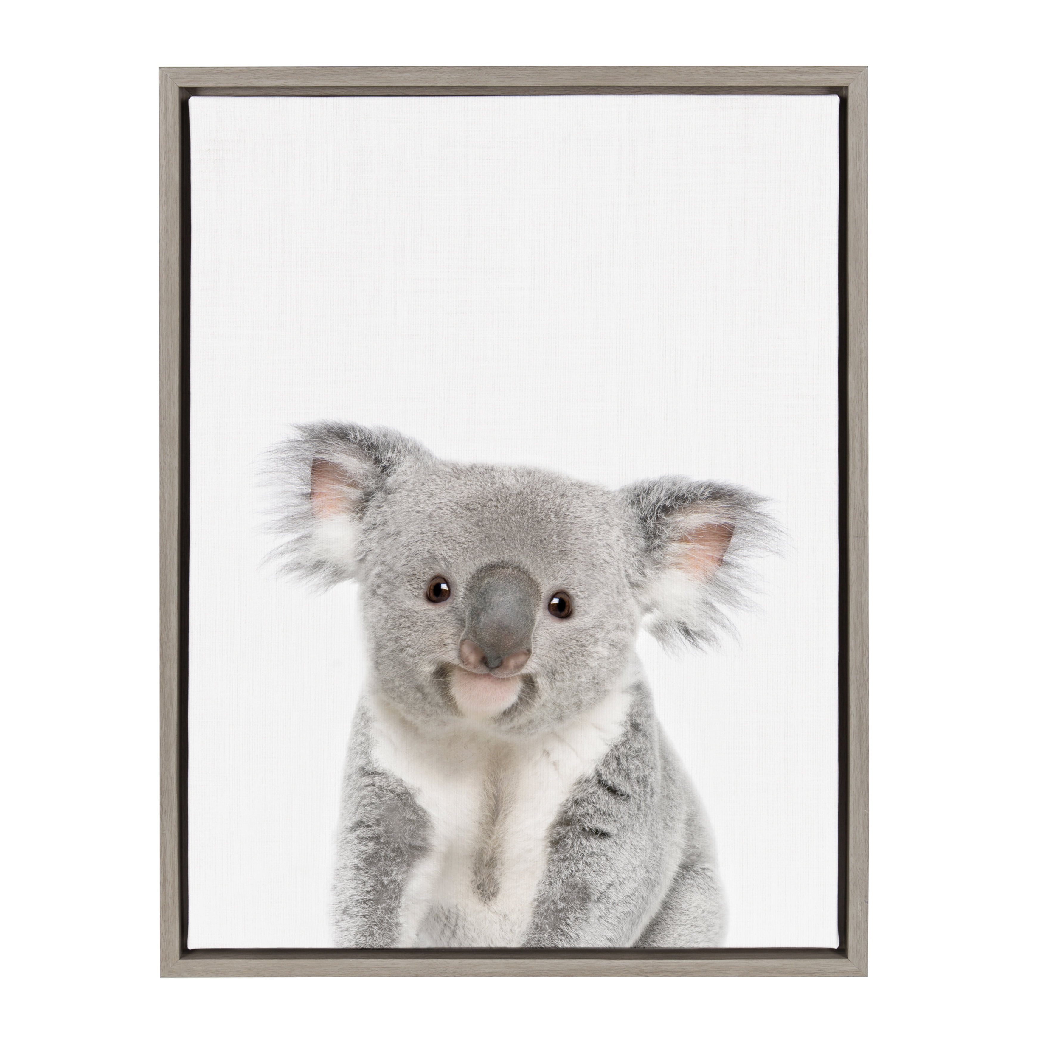 Sylvie Baby Koala Animal Print Framed Canvas Wall Art by Amy Peterson