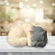 thumbnail image 3 of 2 figuras de peluche de gato realistas, adornos de juguete, regalo para niños Blanco y Marrón, 3 of 8