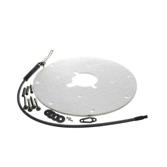 K,SPARK IGNITER ASSY(ANGLED) 100271889 - Genuine OEM Replacement Part