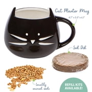 The Cat Ladies Organic Cat Grass Kit with Black Cat Ceramic Planter, Easy Indoor Planting Gift Set