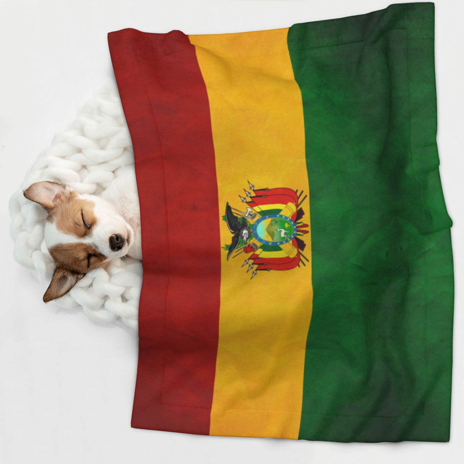 Vintage Bolivian Flag Dog Blanket Soft Warm Flannel Cat Blanket Great Pet Throw for Cats Puppy Small Medium Large Dog