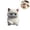 C, variant on Cute Chubby Cat Soft Toy, Handmade Soft Kitten Stress Relief Squeeze Toy, Kawaii Fluffy Cat Fidget Soft Ornament for Adults Teens Anxiety Relief Desk Decor Gift