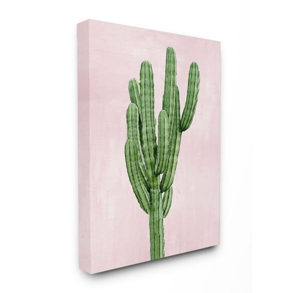 Stupell Industries Desert Cactus Plant Minimal Succulent Nature Pink Green Canvas Wall Art Design by Mia Jensen, 24" x 30"