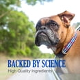 thumbnail image 4 of Supplement Nutramax Cobalequin B12 for Dogs 45 Tablets, 4 of 7