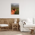 thumbnail image 2 of Highland Cow Gazing Out Canvas Wall Art, design by Jenny Rainbow Fine Art, 2 of 8