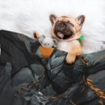 thumbnail image 3 of Disketp Full Moon Black Dragon Dog Blanket/Bed Cover for Dogs and Cats,Puppy Essentials-, 3 of 8