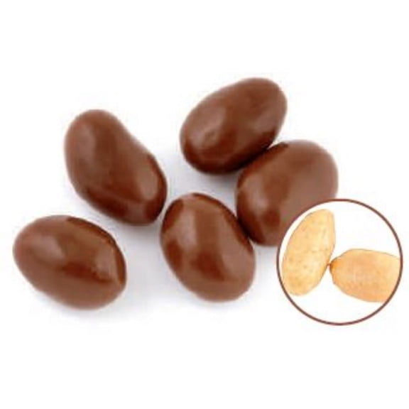 BIG DADDY DARK CHOCOLATE RAISINS